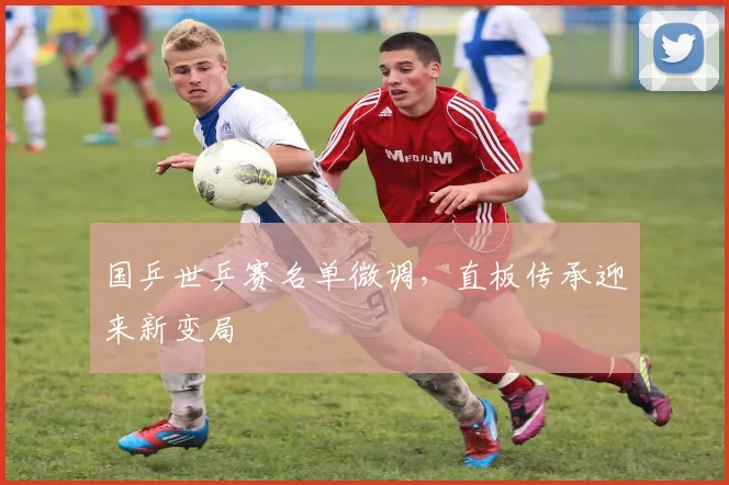 国乒世乒赛名单微调，直板传承迎来新变局