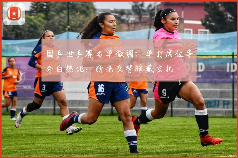 国乒世乒赛名单微调：单打席位争夺白热化，新老交替暗藏玄机